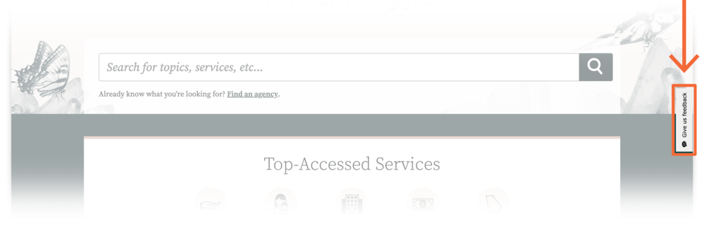 Pilot.Georgia.gov - Feedback button highlighted by arrow and box