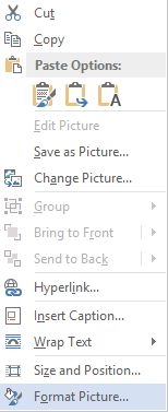 A File menu drop down with 'Format Picture' highlighted