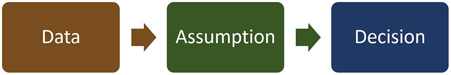 Flowchart showing "Data" pointing to "Assumption" pointing to "Decision."