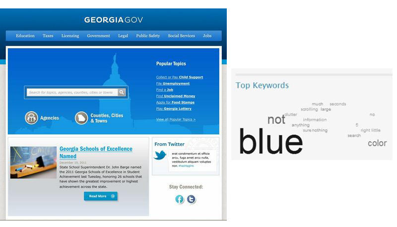 The Georgia.gov website with a blue background