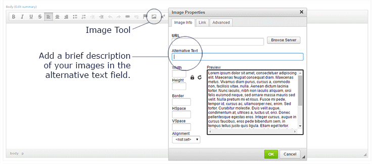 Screen shot explaining the Image Tool and adding Alternative Text 