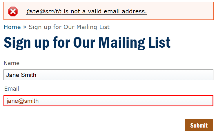 Form contains a notice: "jane@smith is not a valid email address." The invalid Email field is outlined with a thick, red line.